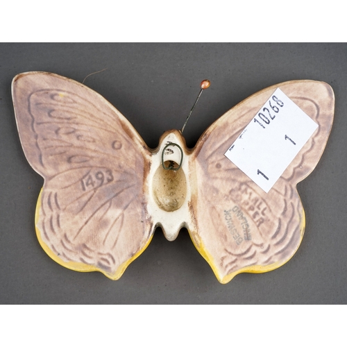 343 - A Beswick model of a Small Copper Butterfly  1493, stamped to reverse, approx 10cm wide, boxed