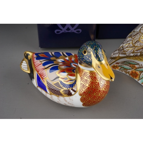 415 - Four Royal Crown Derby paperweights to include: Rockhopper Penguin, gold stopper, red backstamp, box... 