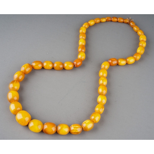 12 - A graduated string of oval  egg yolk/butterscotch amber beads, smallest approx 10mm, largest approx ... 