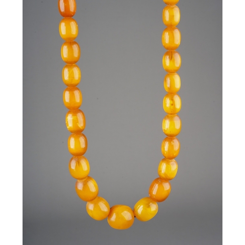 12 - A graduated string of oval  egg yolk/butterscotch amber beads, smallest approx 10mm, largest approx ... 