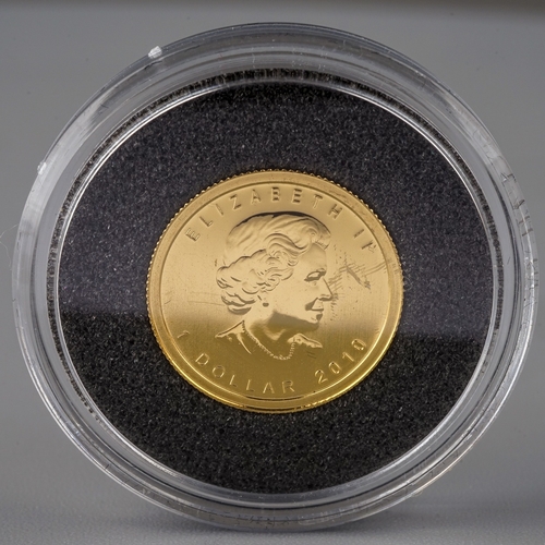 177 - An Elizabeth II 2010 1/20 ounce gold coin, commemorating One Dollar