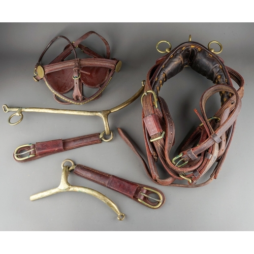 575 - A box containing a quantity of brown leather and brass horse tack, including harnesses, bridle and a... 