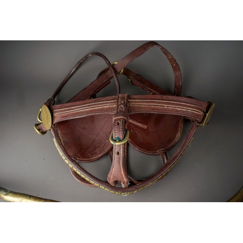 575 - A box containing a quantity of brown leather and brass horse tack, including harnesses, bridle and a... 