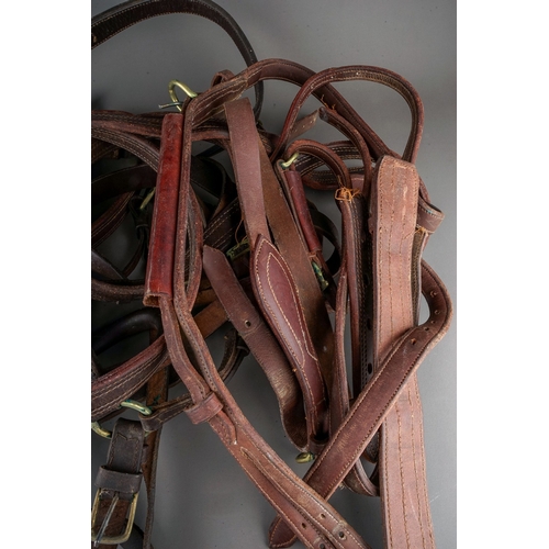 575 - A box containing a quantity of brown leather and brass horse tack, including harnesses, bridle and a... 