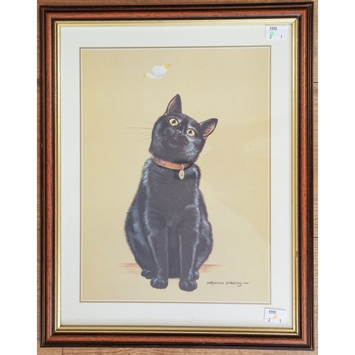 643 - Pollyanna Pickering print of a black cat watching a butterfly, glazed and framed. Approx 43 x 34 cm