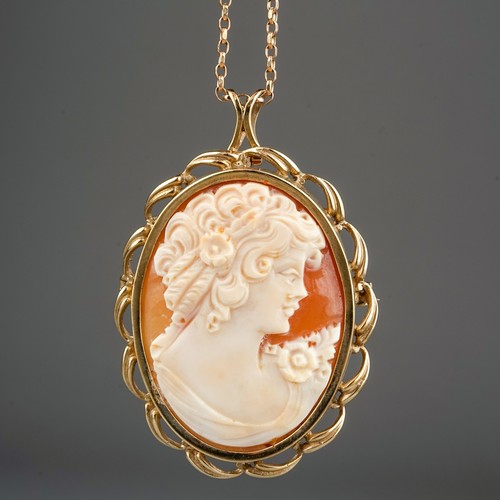 103 - Vintage shell cameo mounted in 9 ct gold on a 9 ct gold chain. Gross weight 12.4 g