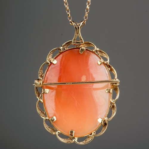 103 - Vintage shell cameo mounted in 9 ct gold on a 9 ct gold chain. Gross weight 12.4 g