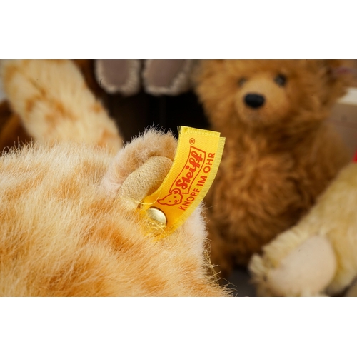 595 - A collection of Modern Steiff Teddy Bears to include: two Classic 1909s (brown and yellow plush); a ... 