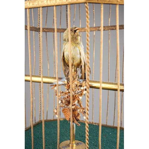 642 - A late 19th / early 20th century French gilt metal and giltwood automaton coin operated singing bird... 