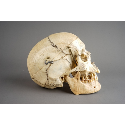 651 - Antique late 19th Century Human Skull.  Anatomical scientific model teaching aid, with sprung jaw an... 