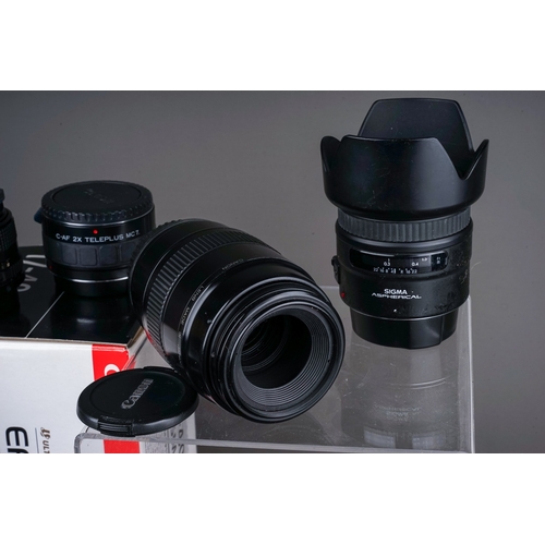 666 - A collection of 15 Canon fit lenses including Canon EF 75-300mm f4-5.6 lens, a Sigma 12-24mm 4.5-5.6... 