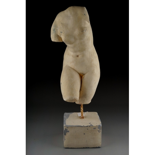 763 - Vintage plaster bust of Aphrodite , approx 50 cm tall