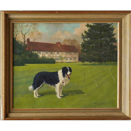 817 - Roy Nockolds (1911-1979)
Portrait of a Border Collie in garden, house beyond
oil on canvas, 40 x 50c... 