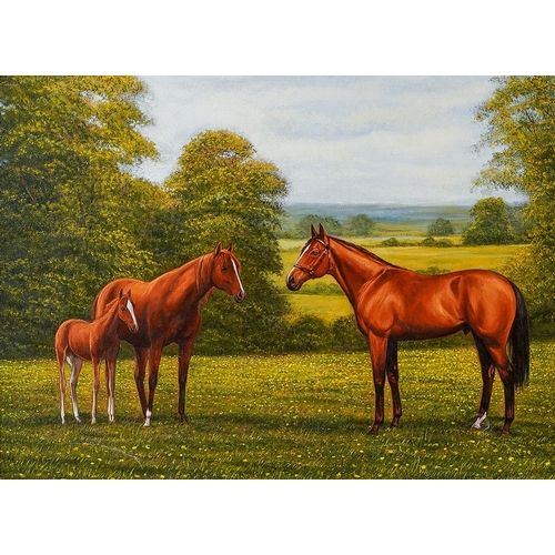 827 - B J Davis (Contemporary) 
Horses in field (chesnut mare and foal with bay stallion)
oil on canvas, 4... 