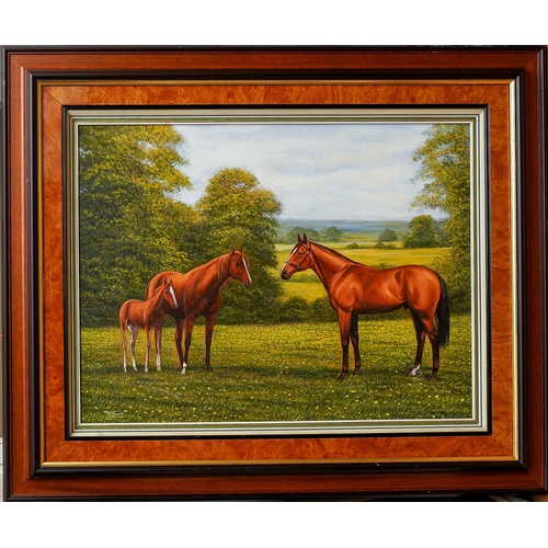 827 - B J Davis (Contemporary) 
Horses in field (chesnut mare and foal with bay stallion)
oil on canvas, 4... 