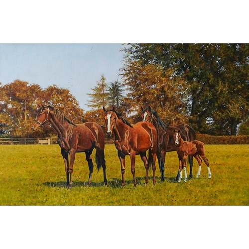 828 - Stephen Pack (British, b.1953)
On the Lookout (Mares and a foal at stud)
oil on canvas, 51 x 76.5cm
... 