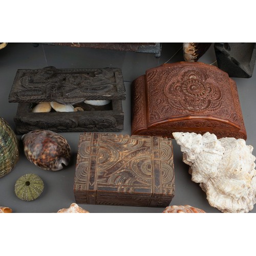 721 - A box containing a collection of curios and collectables, including a late 19th century African war ... 