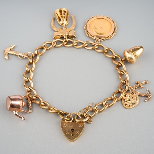 175 - ***Please note change of description*** 9ct gold plated charm bracelet inclusive of half sovereign m... 