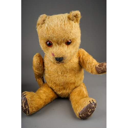 431 - Two vintage golden plush Teddy Bears, fully jointed with leather lined pads, glass eyes, one Teddy l... 