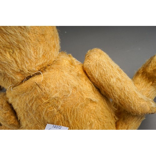 431 - Two vintage golden plush Teddy Bears, fully jointed with leather lined pads, glass eyes, one Teddy l... 