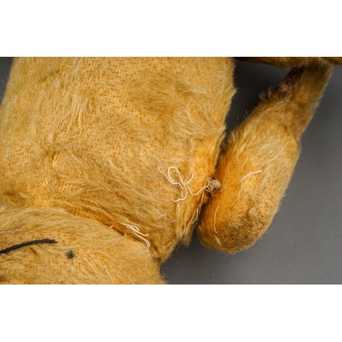 431 - Two vintage golden plush Teddy Bears, fully jointed with leather lined pads, glass eyes, one Teddy l... 