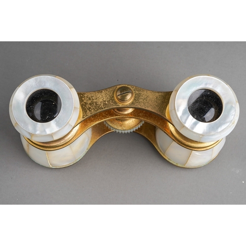 490 - A pair of early 20th century cased Busch gilt metal and mother of pearl opera glasses