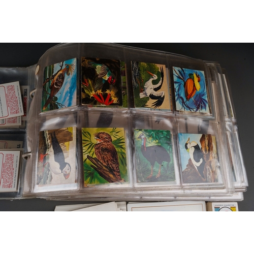 497 - Assorted collection of vintage cigarette cards, mainly Ornithology, loose and albums to include Lipt... 