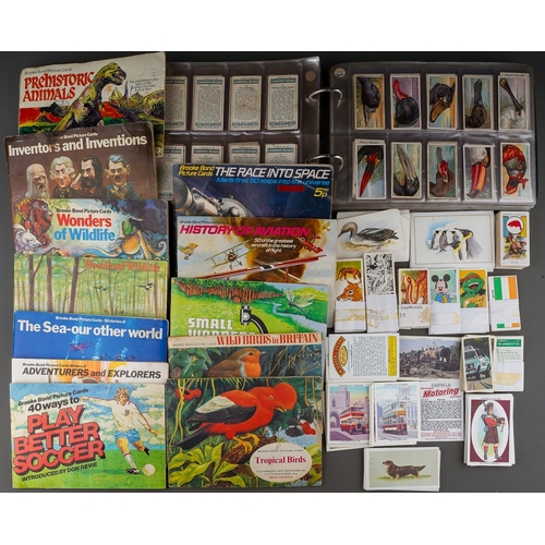 497 - Assorted collection of vintage cigarette cards, mainly Ornithology, loose and albums to include Lipt... 