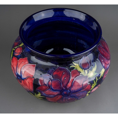 605 - A boxed Moorcroft pottery planter of squat baluster form, decorated in the Anemone design on a blue ... 