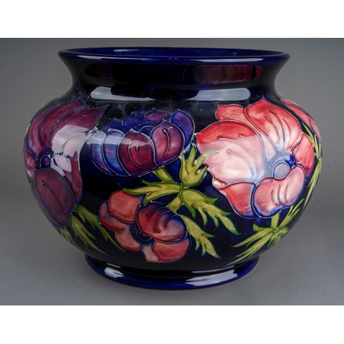 605 - A boxed Moorcroft pottery planter of squat baluster form, decorated in the Anemone design on a blue ... 