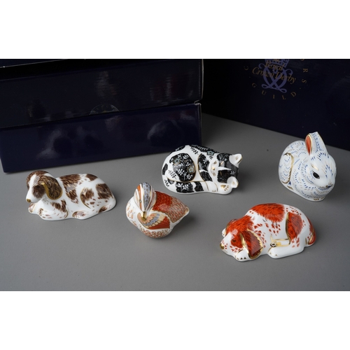 695 - Five boxed Royal crown Derby Collectors Guild paperweights, comprising Bunny, Misty kitten, Scruff p... 