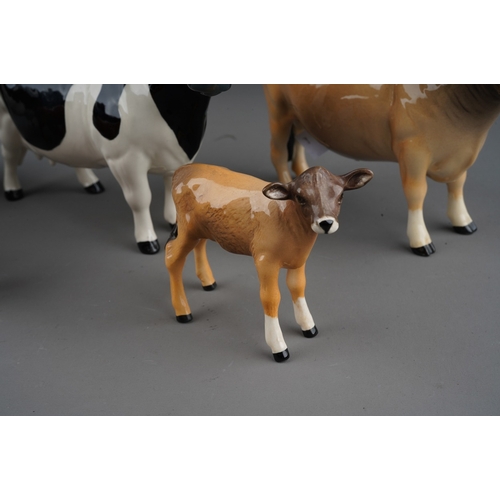 702 - Beswick Cattle to include: a Friesian Bull and Cow; CH Dunsley Coyboy Jersey bull and Jersey calf wi... 