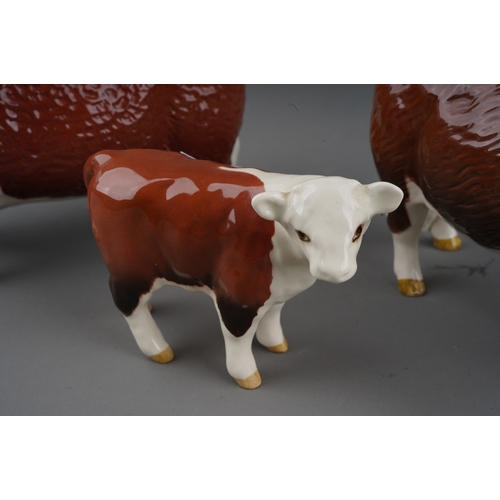 703 - A Beswick Champion of Champions Bull and Cow together with a Hereford calf, all stamped (3)