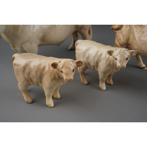 705 - Beswick Charolais cattle to include: bull, two cows and two calves, all stamped (5)