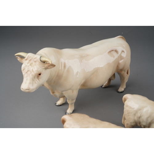 705 - Beswick Charolais cattle to include: bull, two cows and two calves, all stamped (5)