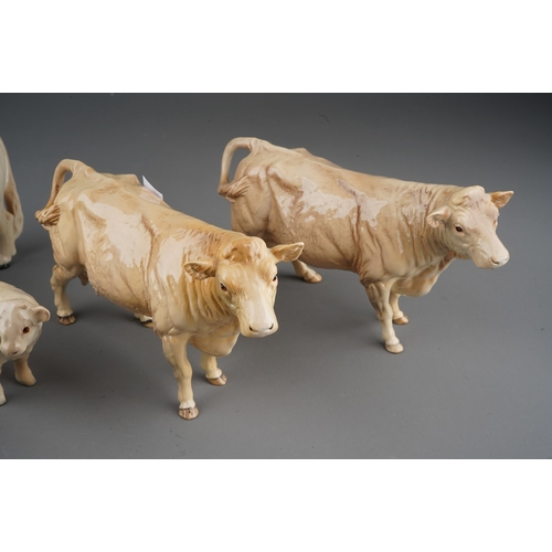 705 - Beswick Charolais cattle to include: bull, two cows and two calves, all stamped (5)