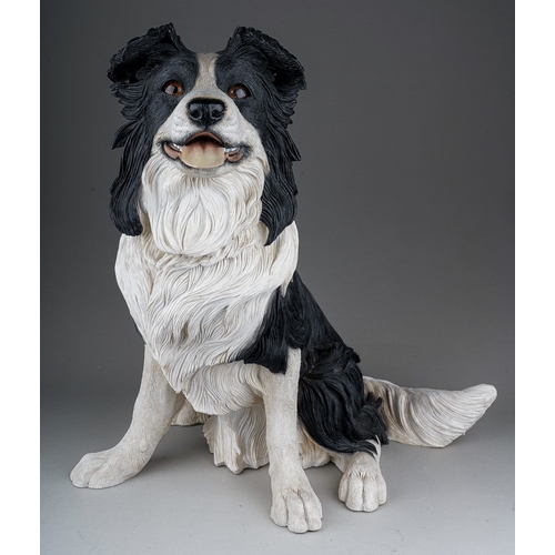 719 - A Country Artist's large model of a Border Collie 