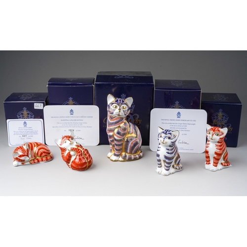 720 - Five boxed Royal Crown Derby cat and kitten paperweights, comprising 'Playful Ginger Kitten', no.667... 