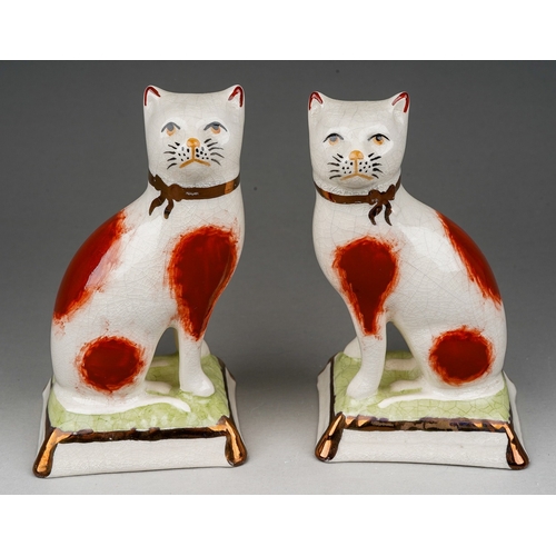 722 - A pair of Staffordshire pottery cats, left and right facing, modelled seated, with orange sponge pat... 