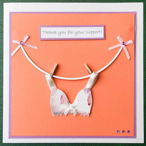 761 - A greeting card decorated with a mini bra made from the fabric of Linda Robson’s bra
Approx size H 2... 