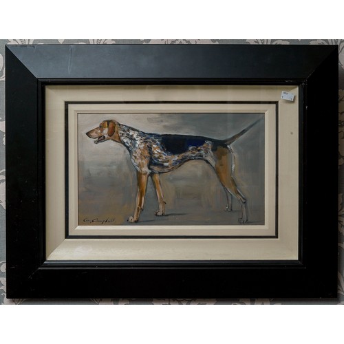 934 - Con Campbell (N.Irish b.1946)
Fox Hound
oil on board, 23 x 37cm (54 x 69.5cm framed)
signed lower le... 