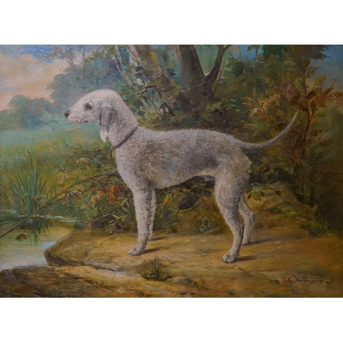 952 - Octave van Cuyck [Octavius-Ludovicus] (Belgian 1870-1956)
A Bedlington Terrier in landscape
oil on c... 