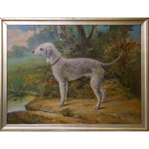 952 - Octave van Cuyck [Octavius-Ludovicus] (Belgian 1870-1956)
A Bedlington Terrier in landscape
oil on c... 