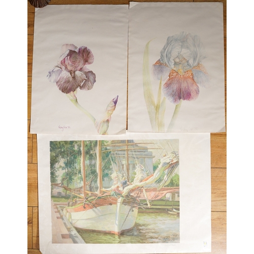 956 - Vicky Cox (Late 20th /21st century) Study of an Iris, coloured pencil, signed and dated (19)80 lower... 