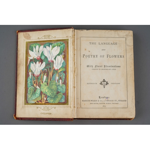 22 - Language of Poetry of flowers 1877 Marcus Ward Belfast