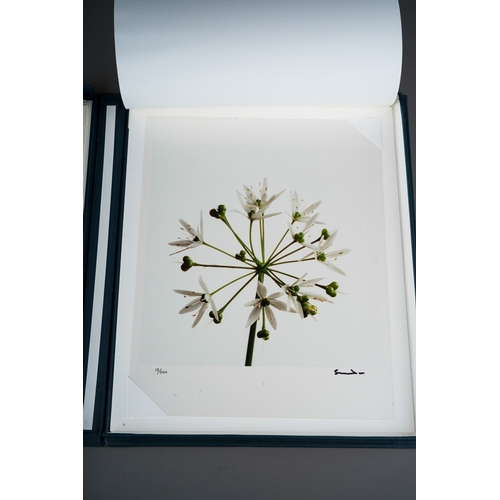 63 - Wild Flowers by Snowdon, Carlisle Fine Art Photographs Limited 1994; a set of eight hand printed sub... 