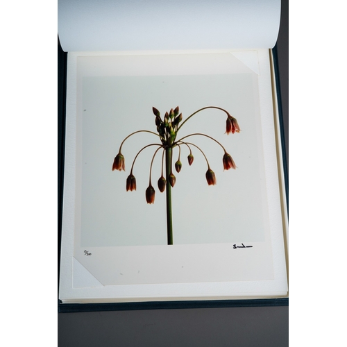 63 - Wild Flowers by Snowdon, Carlisle Fine Art Photographs Limited 1994; a set of eight hand printed sub... 