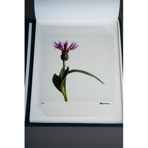 63 - Wild Flowers by Snowdon, Carlisle Fine Art Photographs Limited 1994; a set of eight hand printed sub... 