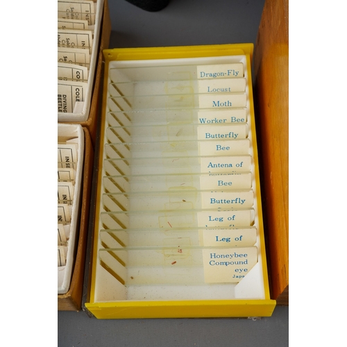 176 - A cased Bijou Major 450x students microscope, together with five boxed sets of NBS microslides and a... 