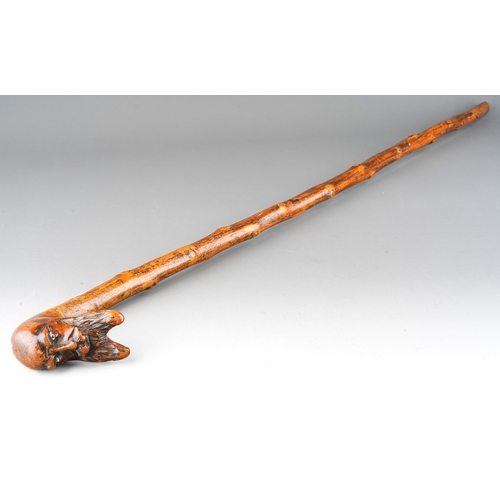 233 - A late 19th / early 20th century bearded face thorn walking stick, with glass eyes, length 82cm (2)